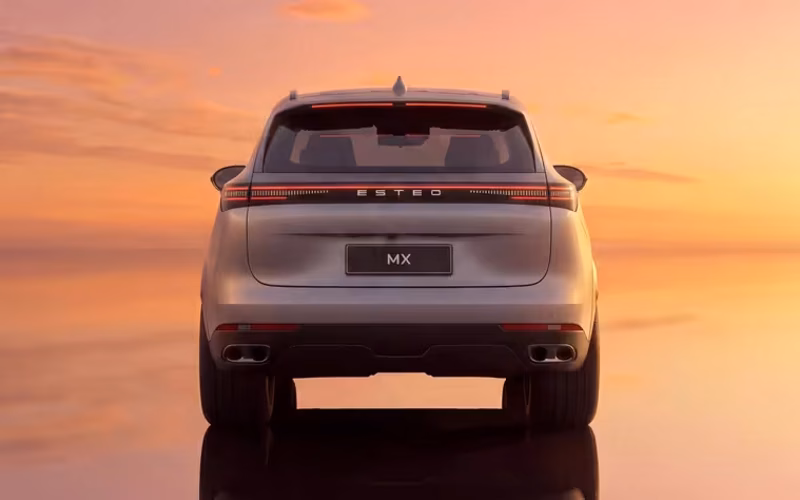 корма esteo mx	